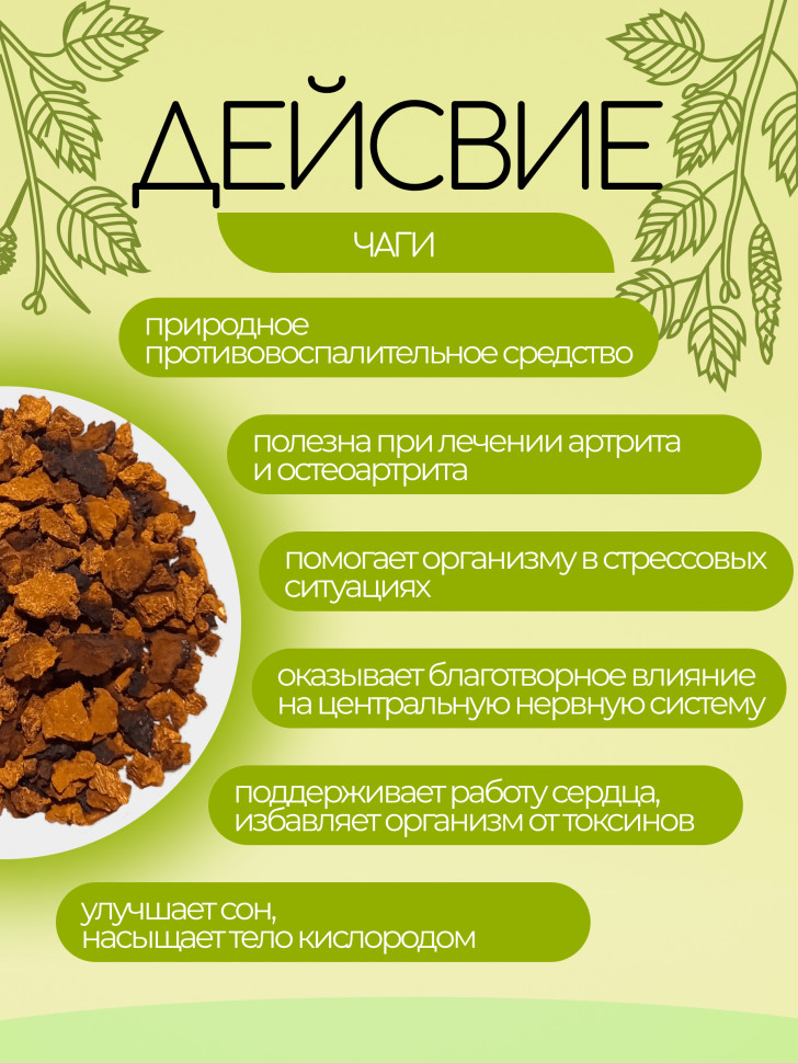 Чага чай березовый классический дроблёный 1 кг.
